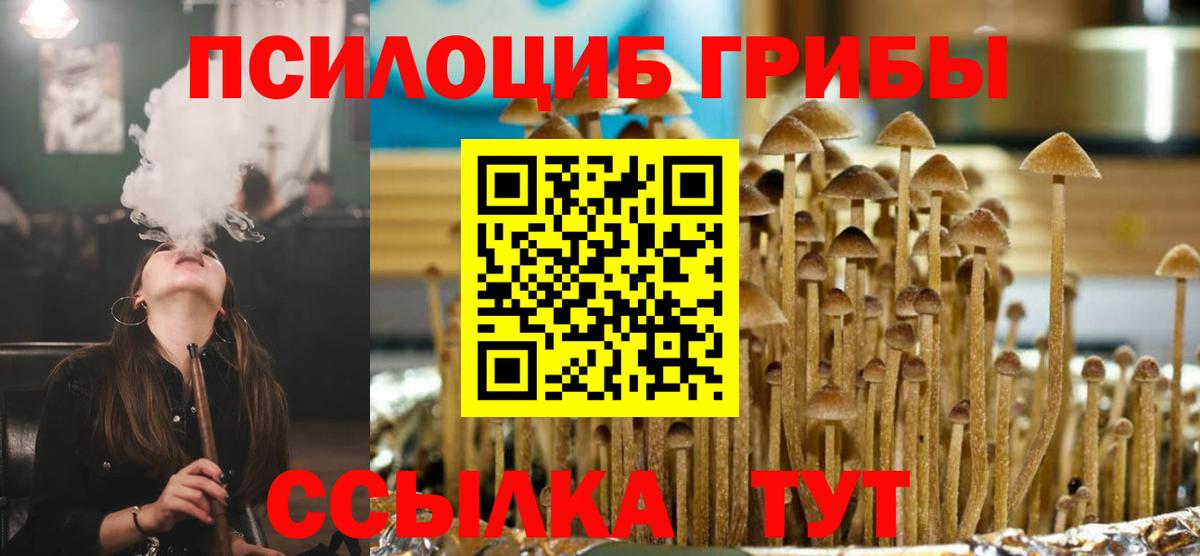 Псилоцибиновые грибы прущие грибы  Псилоцибиновые грибы Psilocybe  Вход с VPN  Батайск 