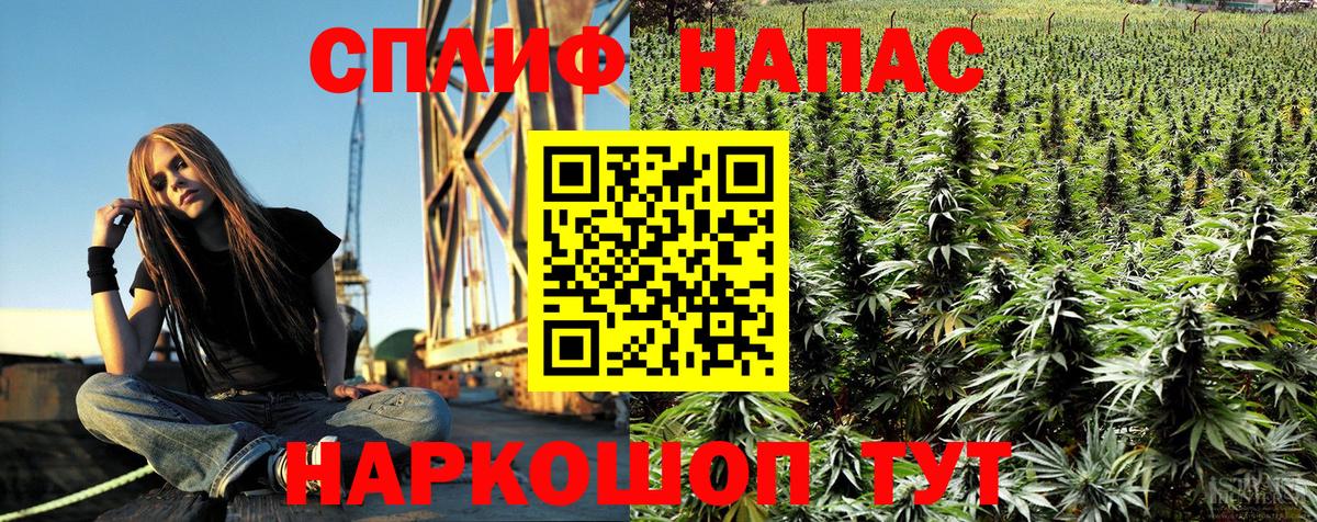 Марихуана сатива Батайск